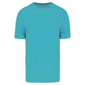 PROACT PA4011 - T-shirt triblend sport Light Turquoise