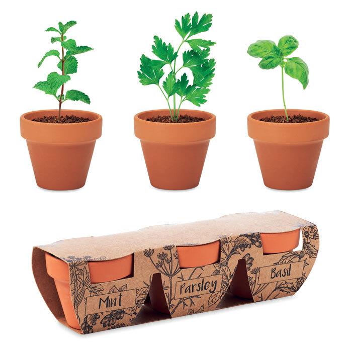 GiftRetail MO6145 - FLOWERPOT Set di erbe in terracotta