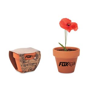 GiftRetail MO6148 - RED POPPY Semi di papavero Wood