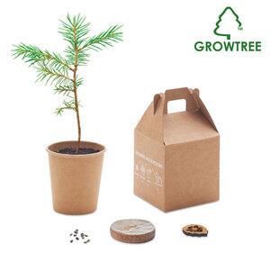 GiftRetail MO6228 - GROWTREE™ Set in legno di pino