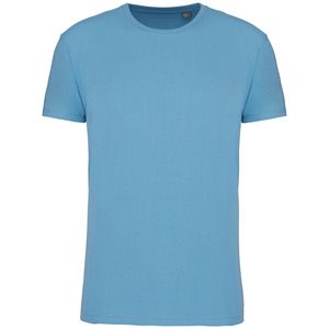 Kariban K3032IC - T-shirt Bio190IC girocollo Cloudy blue heather