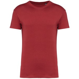 Kariban K3032IC - T-shirt Bio190IC girocollo Terracotta Red