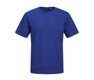 Blu Surf The Web